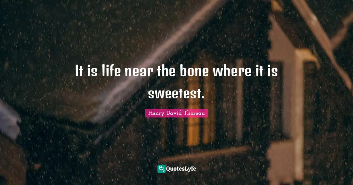 It is life near the bone where it is sweetest.