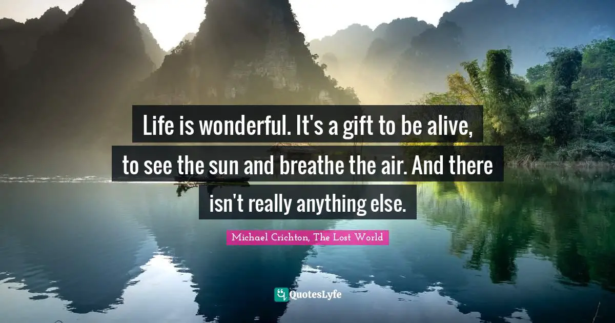 Life is wonderful. It's a gift to be alive, to see the sun and breathe the air. And there isn't really anything else.