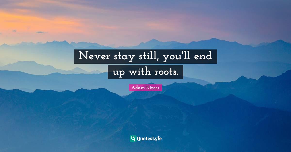 Never stay still, you'll end up with roots.