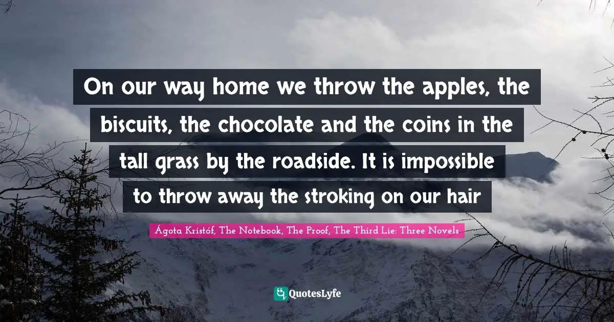 On our way home we throw the apples, the biscuits, the chocolate and the coins in the tall grass by the roadside. It is impossible to throw away the stroking on our hair