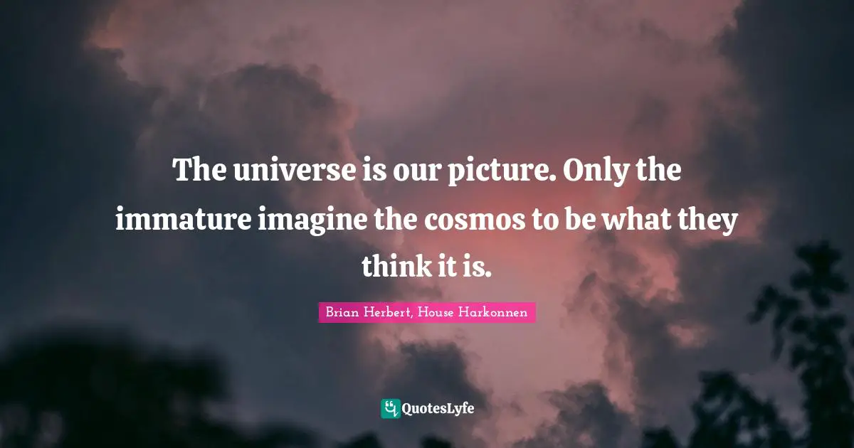 The universe is our picture. Only the immature imagine the cosmos to be what they think it is.
