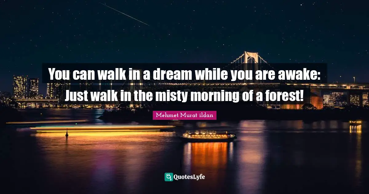 You can walk in a dream while you are awake: Just walk in the misty morning of a forest!