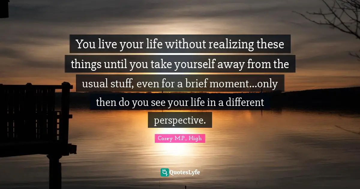 Realizations Quotes: "You live your life without realizing these things until you take yourself away from the usual stuff, even for a brief moment…only then do you see your life in a different perspective."