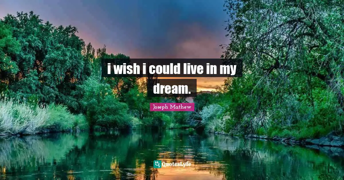 i wish i could live in my dream.