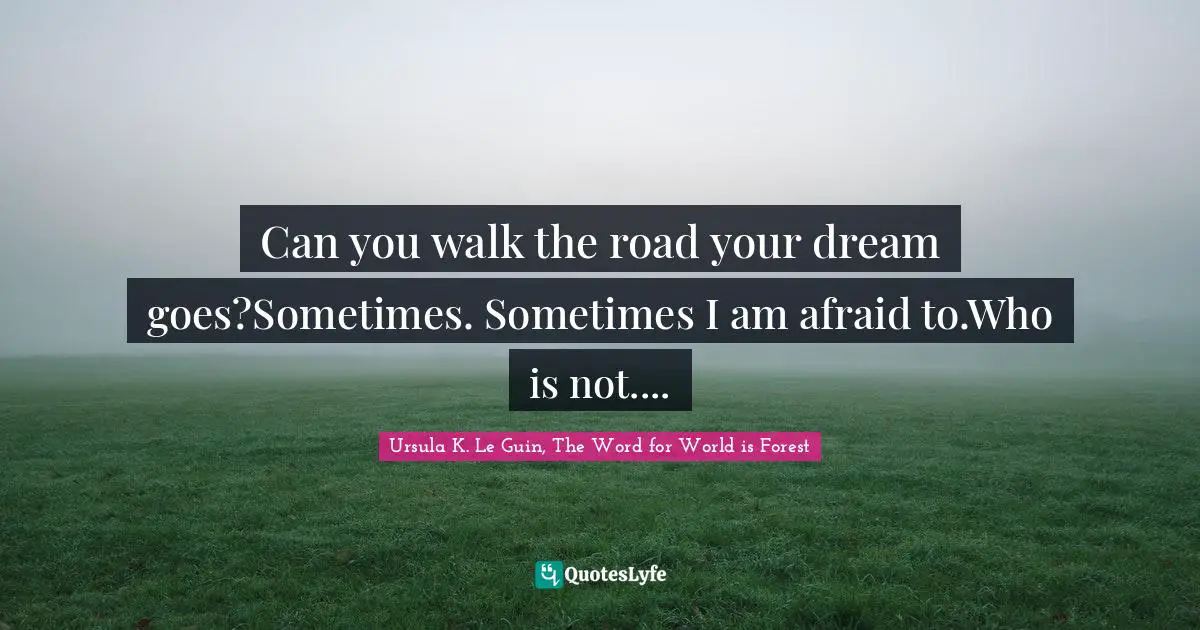 Can you walk the road your dream goes?Sometimes. Sometimes I am afraid to.Who is not....