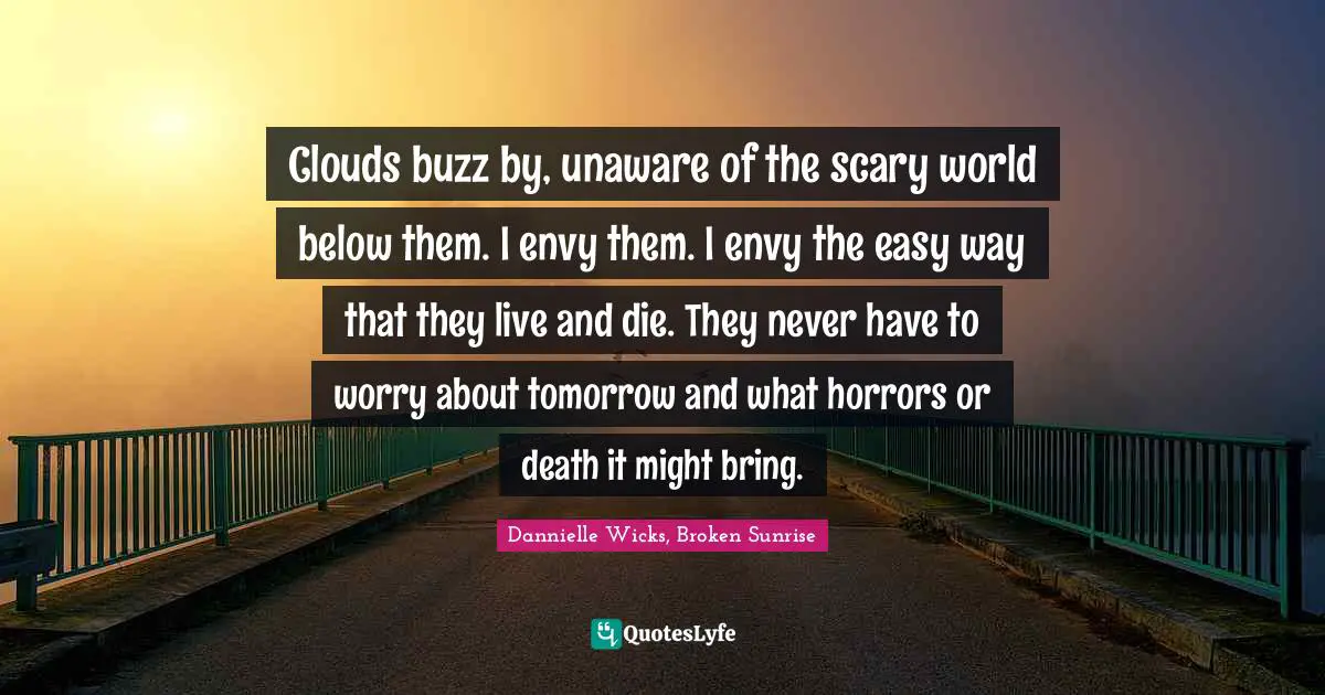 Clouds buzz by, unaware of the scary world below them. I envy them. I envy the easy way that they live and die. They never have to worry about tomorrow and what horrors or death it might bring.
