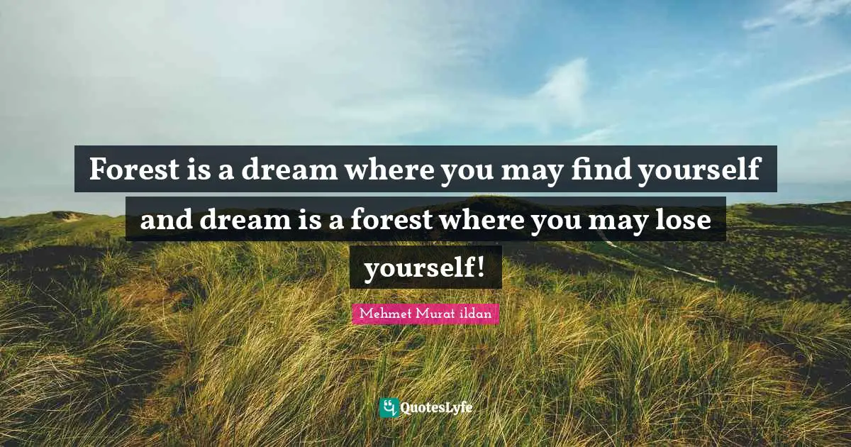 Forest is a dream where you may find yourself and dream is a forest where you may lose yourself!