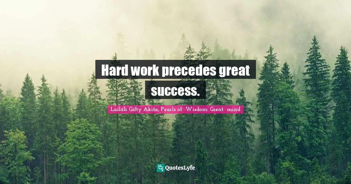 Dont Give Up Quotes: "Hard work precedes great success."