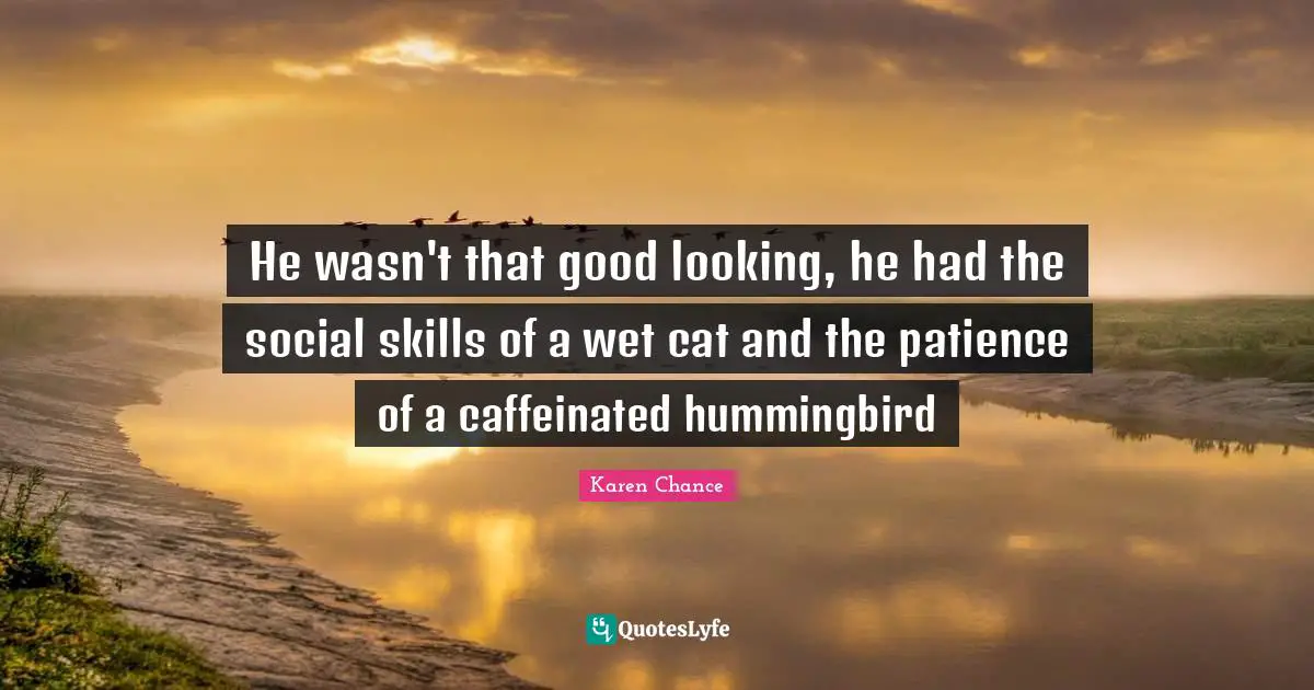 Paranormal Romance Quotes: "He wasn't that good looking, he had the social skills of a wet cat and the patience of a caffeinated hummingbird"