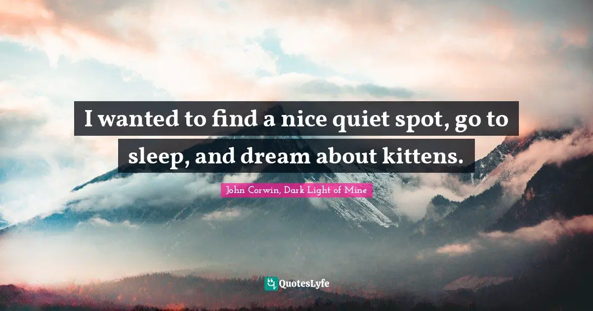 I wanted to find a nice quiet spot, go to sleep, and dream about kittens.