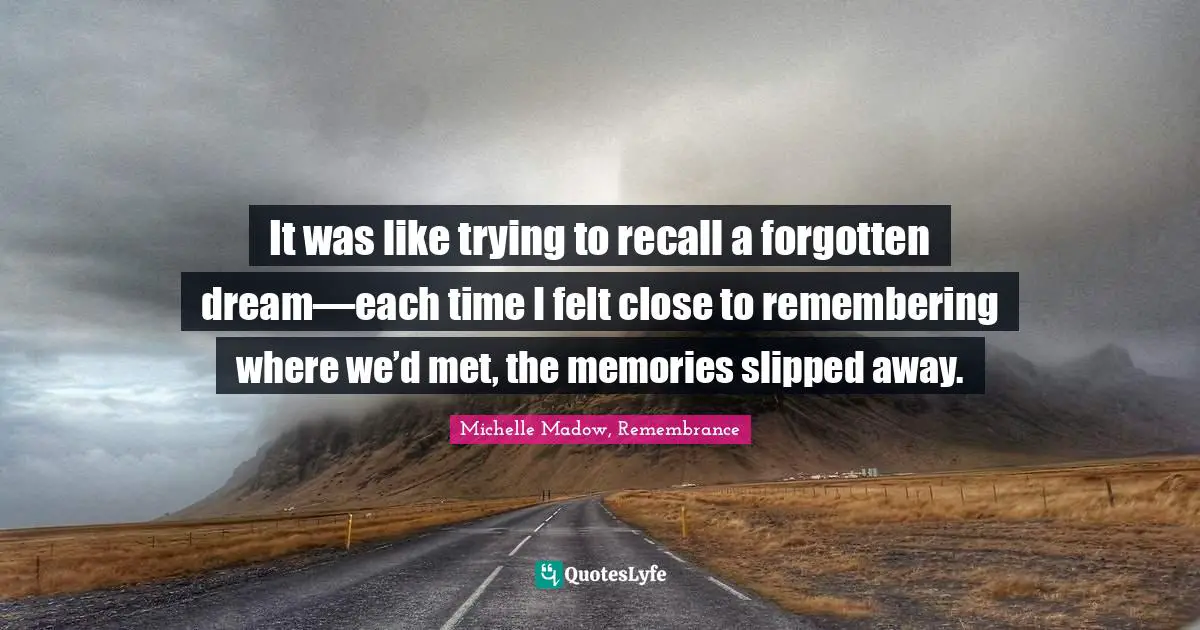 It was like trying to recall a forgotten dream—each time I felt close to remembering where we’d met, the memories slipped away.