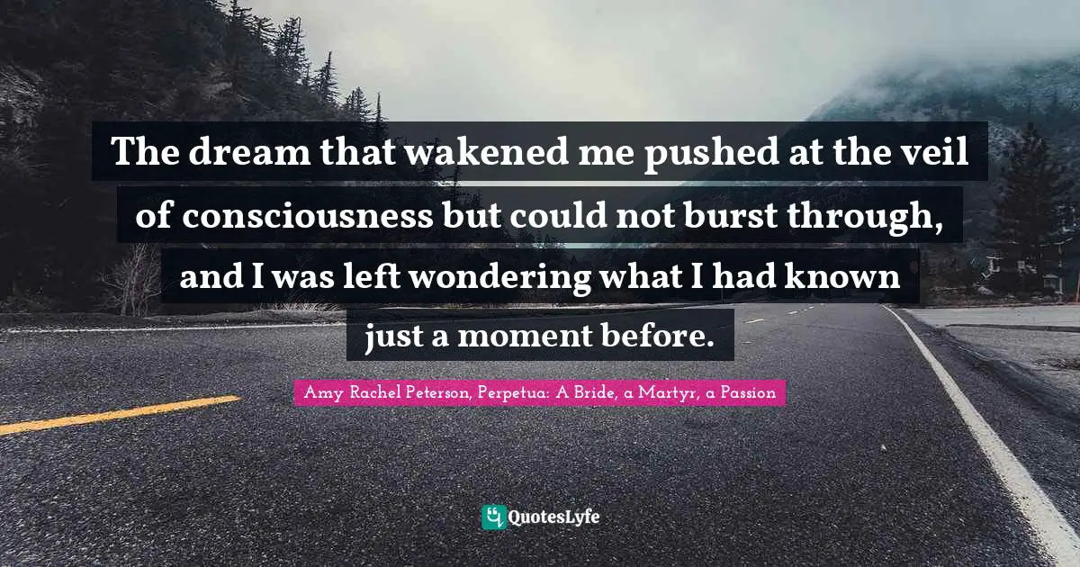 The dream that wakened me pushed at the veil of consciousness but could not burst through, and I was left wondering what I had known just a moment before.