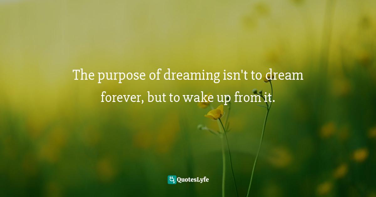 The purpose of dreaming isn't to dream forever, but to wake up from it.