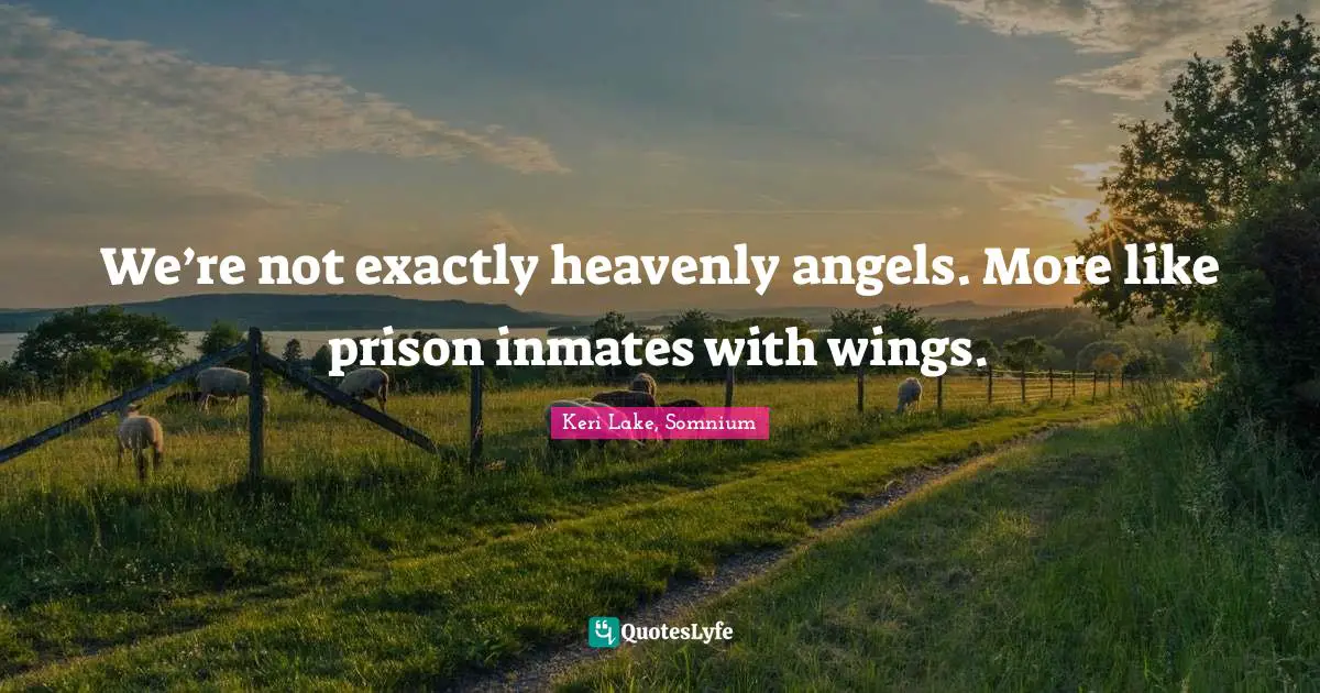 We’re not exactly heavenly angels. More like prison inmates with wings.