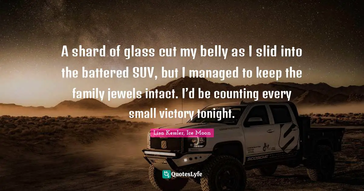 Moon Series Quotes: "A shard of glass cut my belly as I slid into the battered SUV, but I managed to keep the family jewels intact. I’d be counting every small victory tonight."