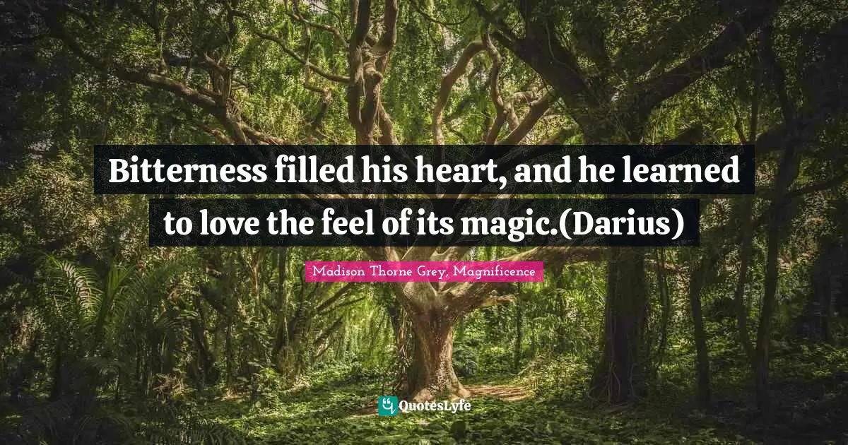 Bitterness filled his heart, and he learned to love the feel of its magic.(Darius)