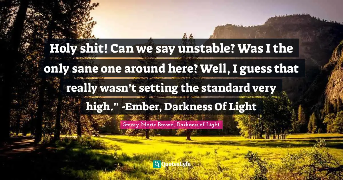Darkness Of Light Quotes: "Holy shit! Can we say unstable? Was I the only sane one around here? Well, I guess that really wasn’t setting the standard very high." -Ember, Darkness Of Light"