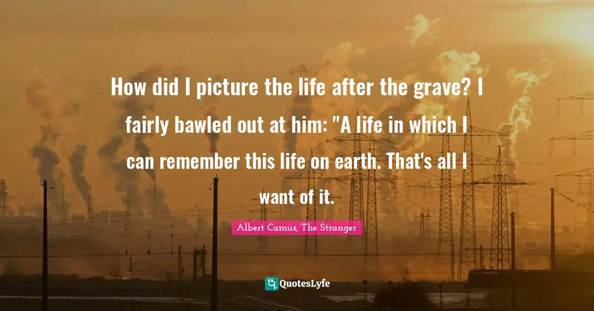 How did I picture the life after the grave? I fairly bawled out at him: "A life in which I can remember this life on earth. That's all I want of it.