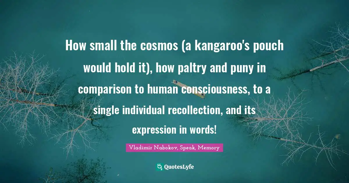 How small the cosmos (a kangaroo's pouch would hold it), how paltry and puny in comparison to human consciousness, to a single individual recollection, and its expression in words!