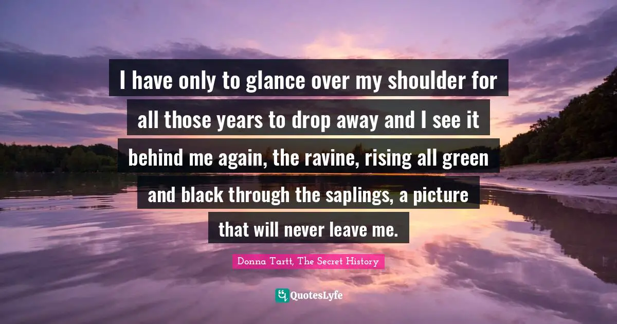 I have only to glance over my shoulder for all those years to drop away and I see it behind me again, the ravine, rising all green and black through the saplings, a picture that will never leave me.
