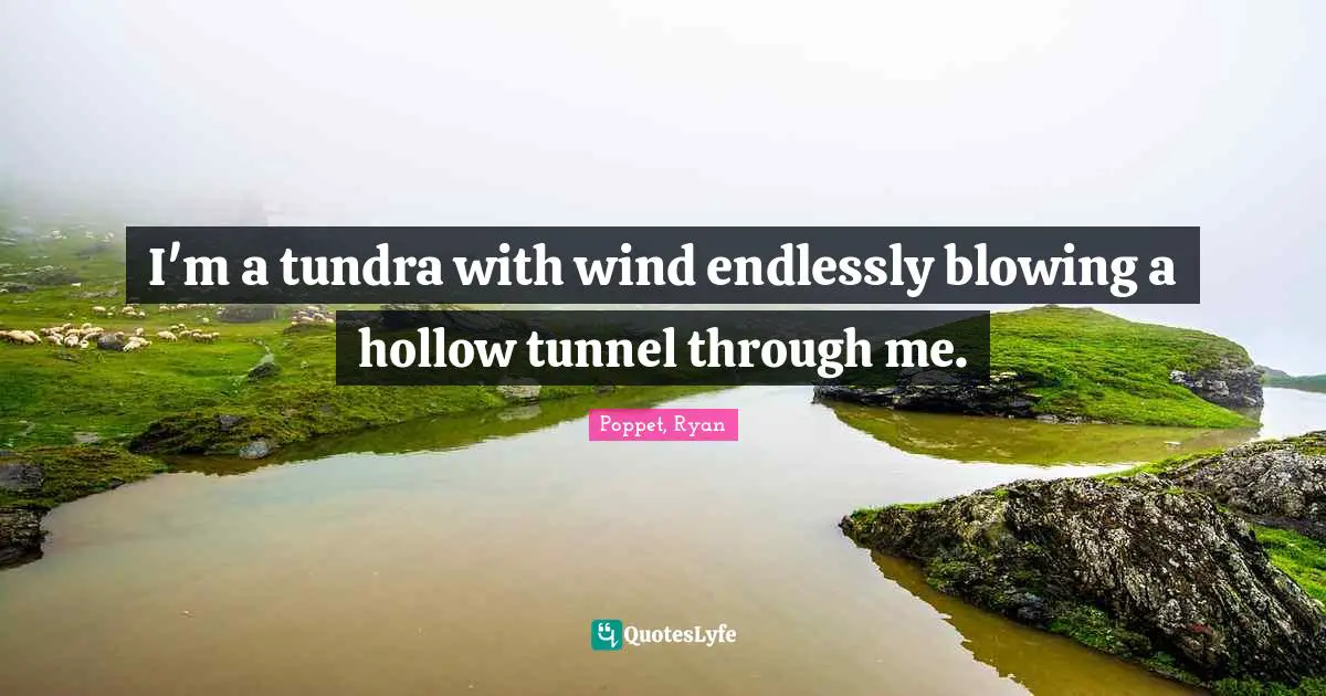 I'm a tundra with wind endlessly blowing a hollow tunnel through me.