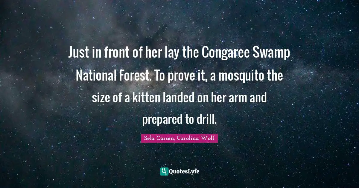 Just in front of her lay the Congaree Swamp National Forest. To prove it, a mosquito the size of a kitten landed on her arm and prepared to drill.