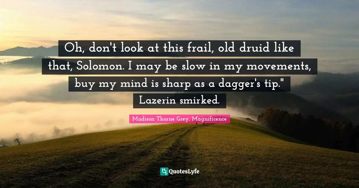Oh, don't look at this frail, old druid like that, Solomon. I may be slow in my movements, buy my mind is sharp as a dagger's tip." Lazerin smirked.