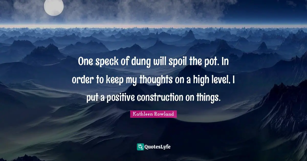 One speck of dung will spoil the pot. In order to keep my thoughts on a high level, I put a positive construction on things.