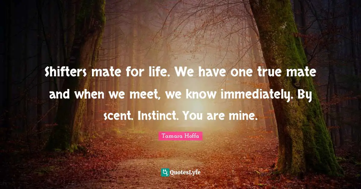 Shifters mate for life. We have one true mate and when we meet, we know immediately. By scent. Instinct. You are mine.