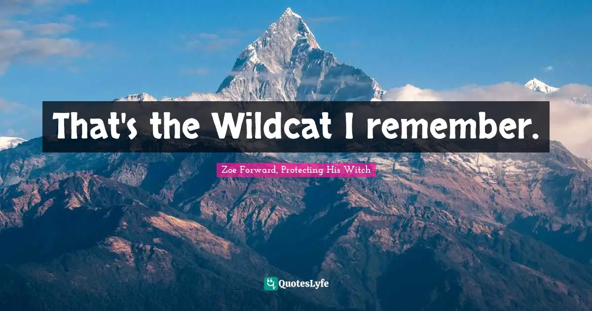That's the Wildcat I remember.