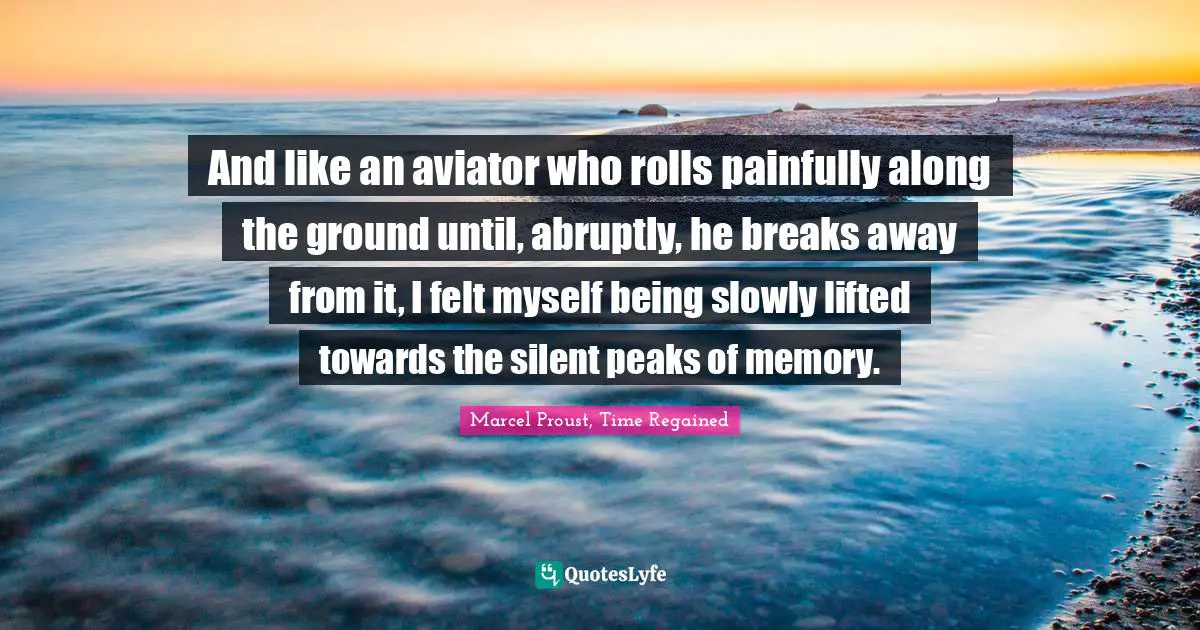 And like an aviator who rolls painfully along the ground until, abruptly, he breaks away from it, I felt myself being slowly lifted towards the silent peaks of memory.
