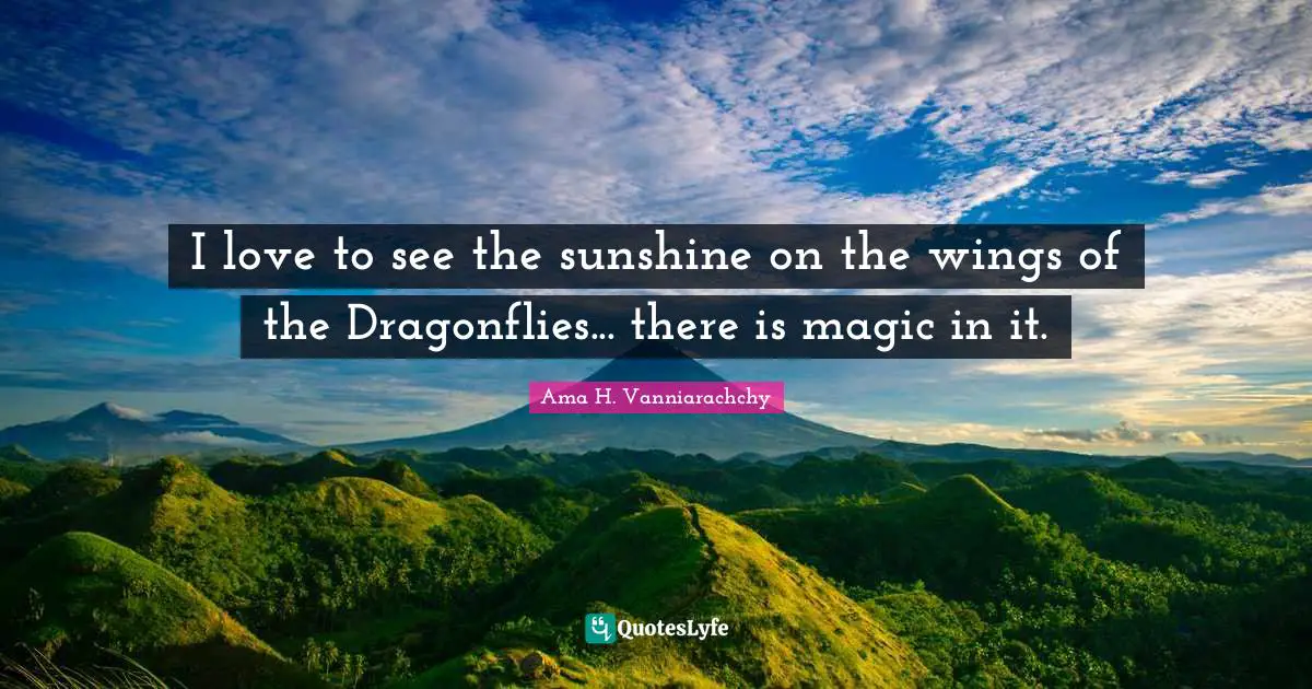 I love to see the sunshine on the wings of the Dragonflies... there is magic in it.