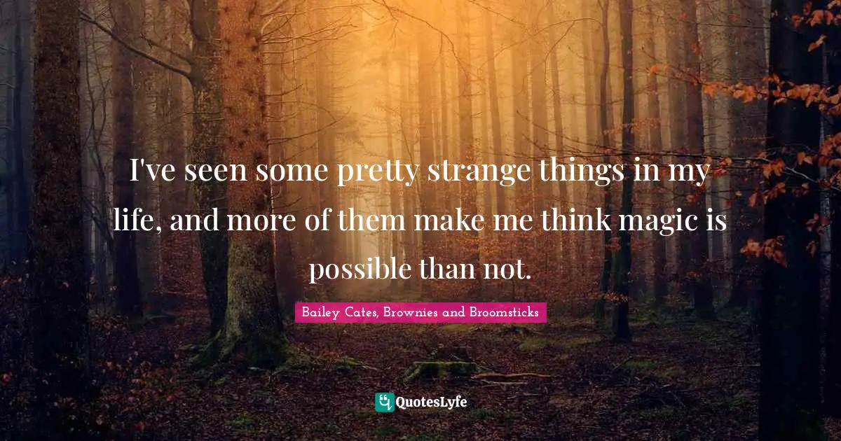 I've seen some pretty strange things in my life, and more of them make me think magic is possible than not.