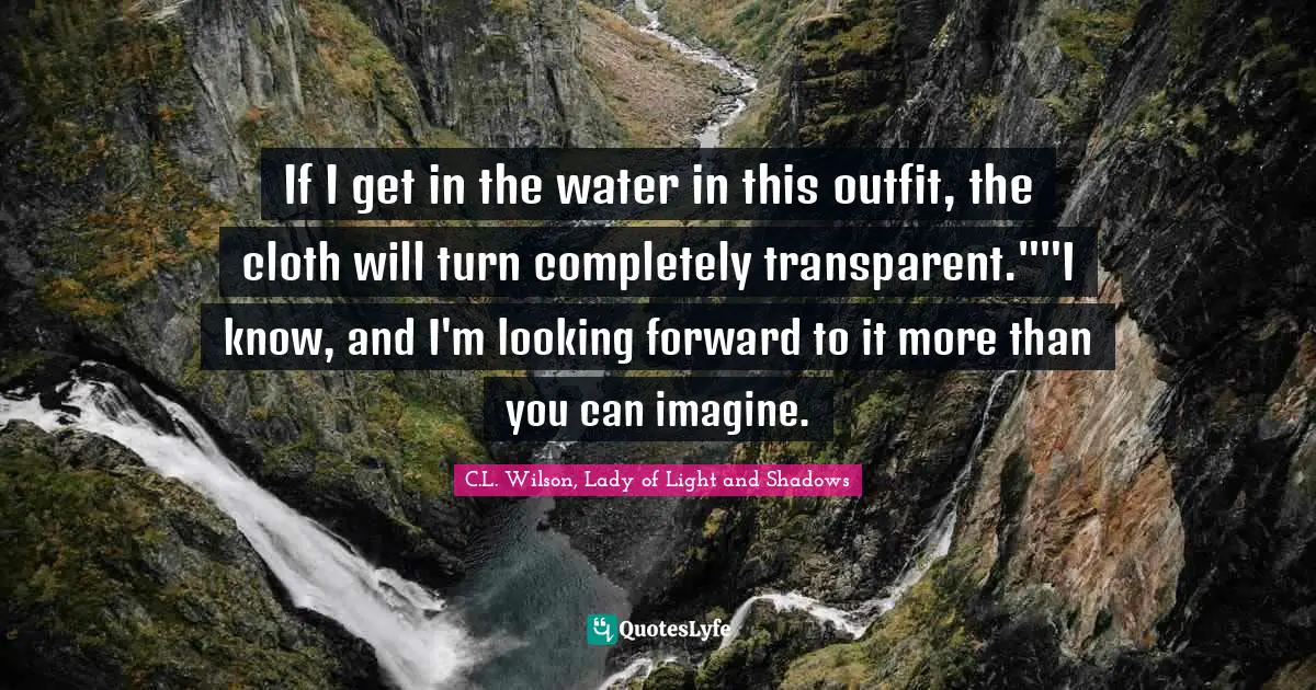 The Fae Quotes: "If I get in the water in this outfit, the cloth will turn completely transparent.""I know, and I'm looking forward to it more than you can imagine."
