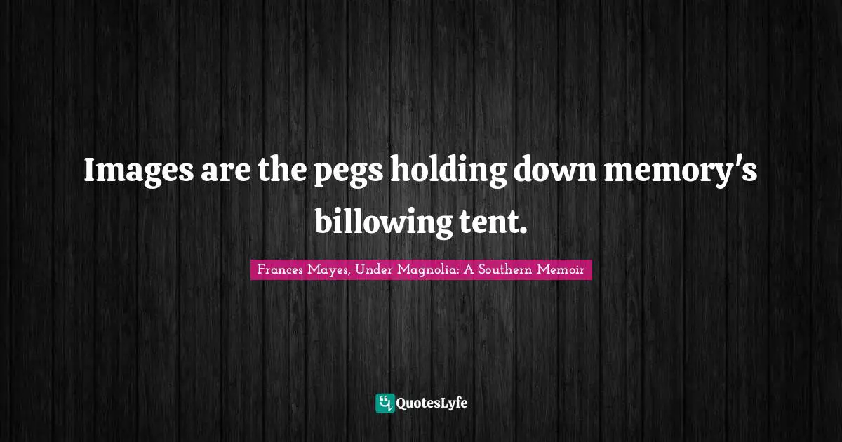Images are the pegs holding down memory's billowing tent.