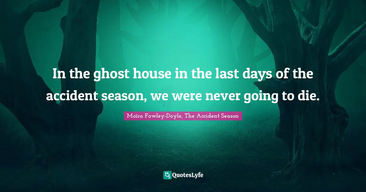 In the ghost house in the last days of the accident season, we were never going to die.