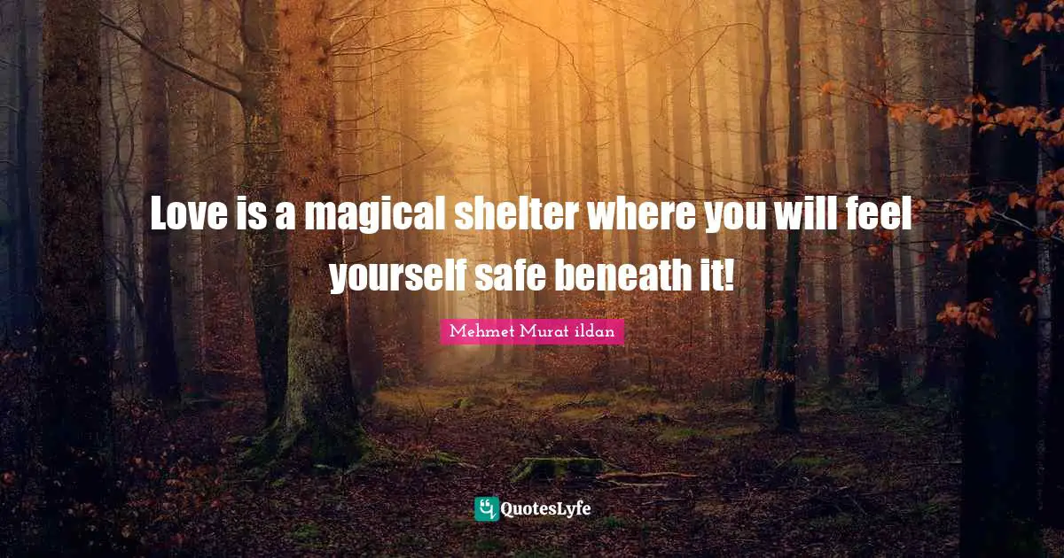 Love is a magical shelter where you will feel yourself safe beneath it!