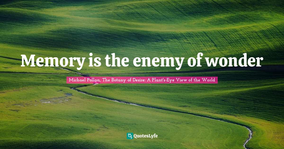 Forgetting Quotes: "Memory is the enemy of wonder"