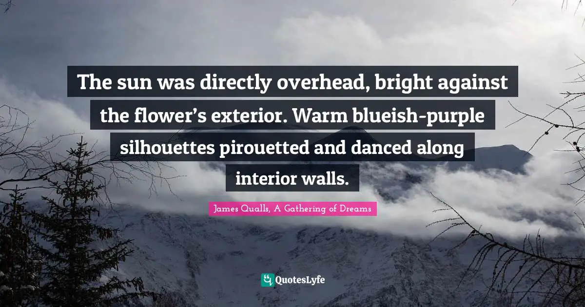 The sun was directly overhead, bright against the flower’s exterior. Warm blueish-purple silhouettes pirouetted and danced along interior walls.