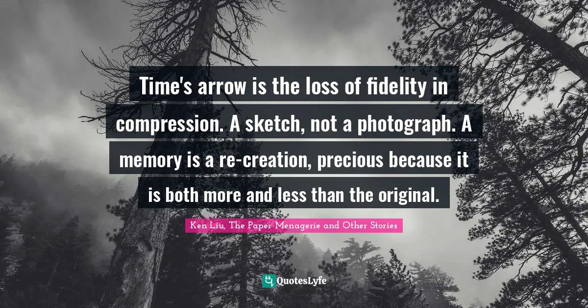 Compression Quotes: "Time's arrow is the loss of fidelity in compression. A sketch, not a photograph. A memory is a re-creation, precious because it is both more and less than the original."