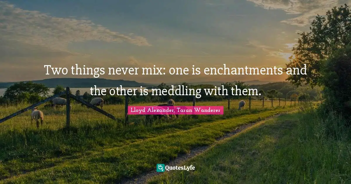 Two things never mix: one is enchantments and the other is meddling with them.