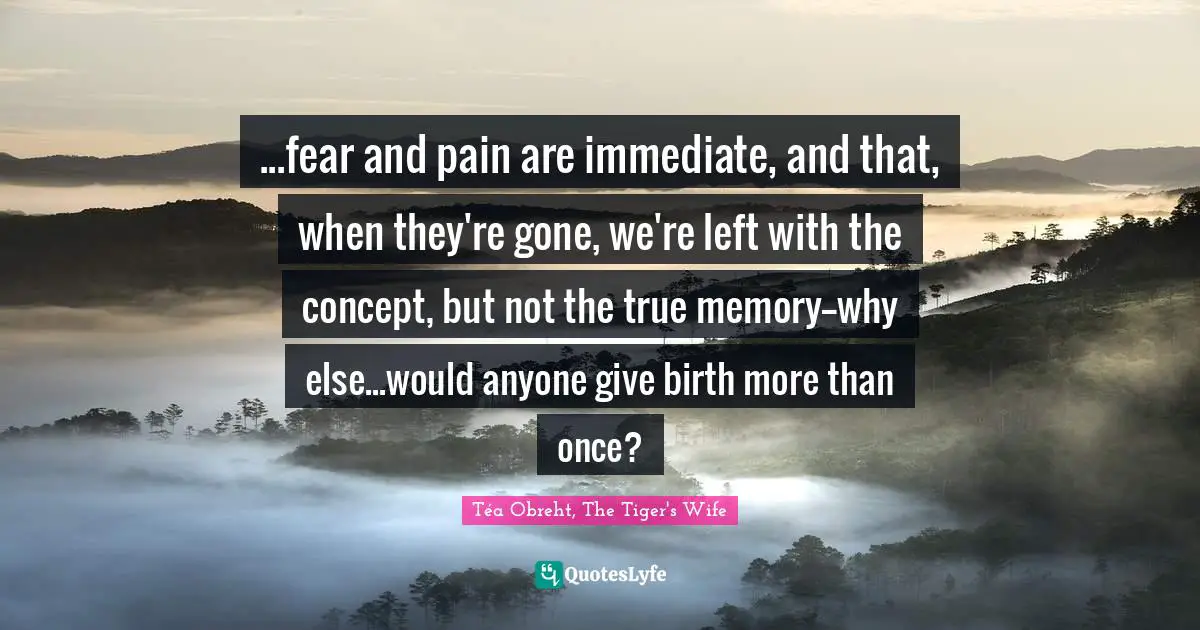 ...fear and pain are immediate, and that, when they're gone, we're left with the concept, but not the true memory--why else...would anyone give birth more than once?