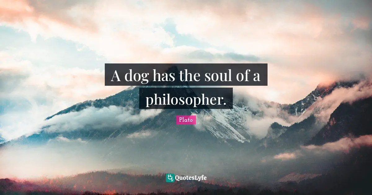 A dog has the soul of a philosopher.