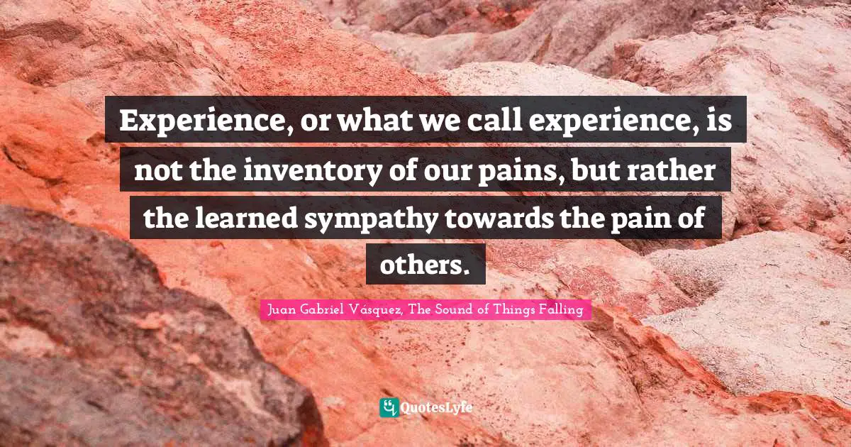 Experience, or what we call experience, is not the inventory of our pains, but rather the learned sympathy towards the pain of others.
