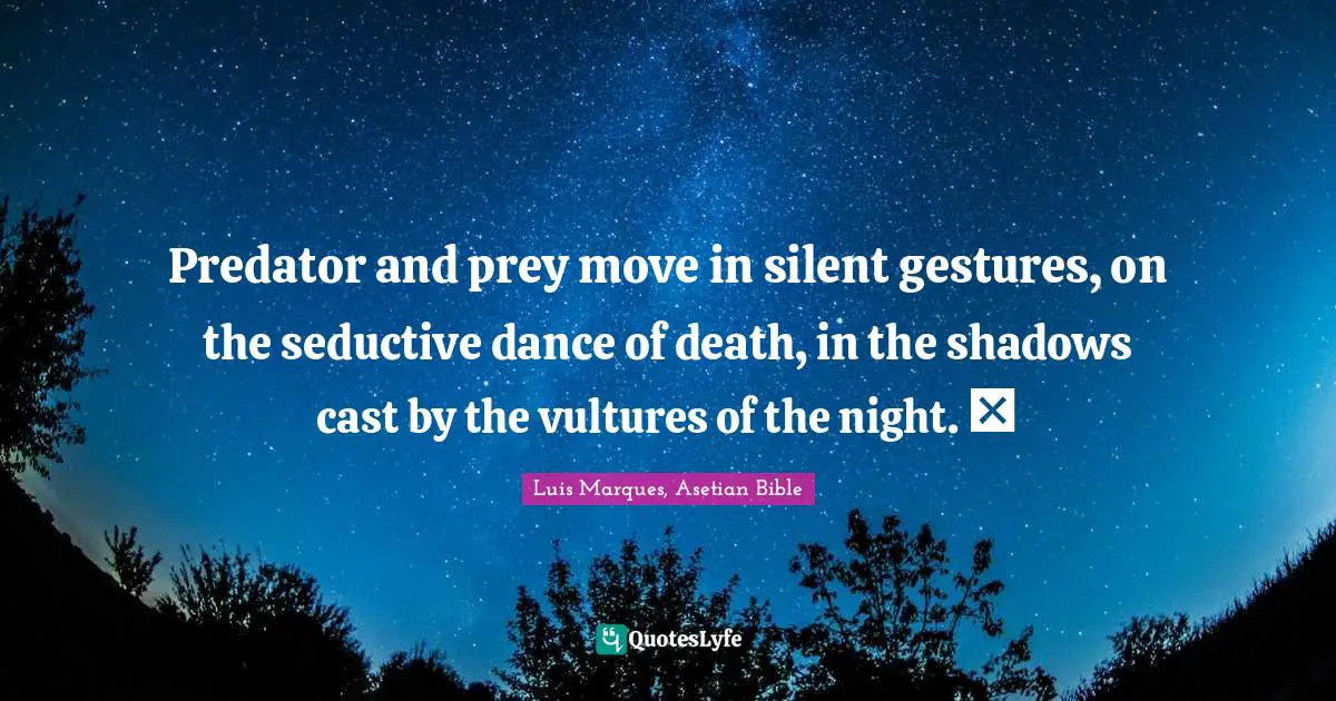 Predator and prey move in silent gestures, on the seductive dance of death, in the shadows cast by the vultures of the night. ☥