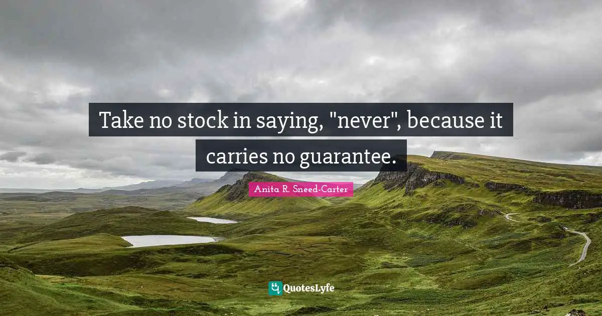 Take no stock in saying, "never", because it carries no guarantee.