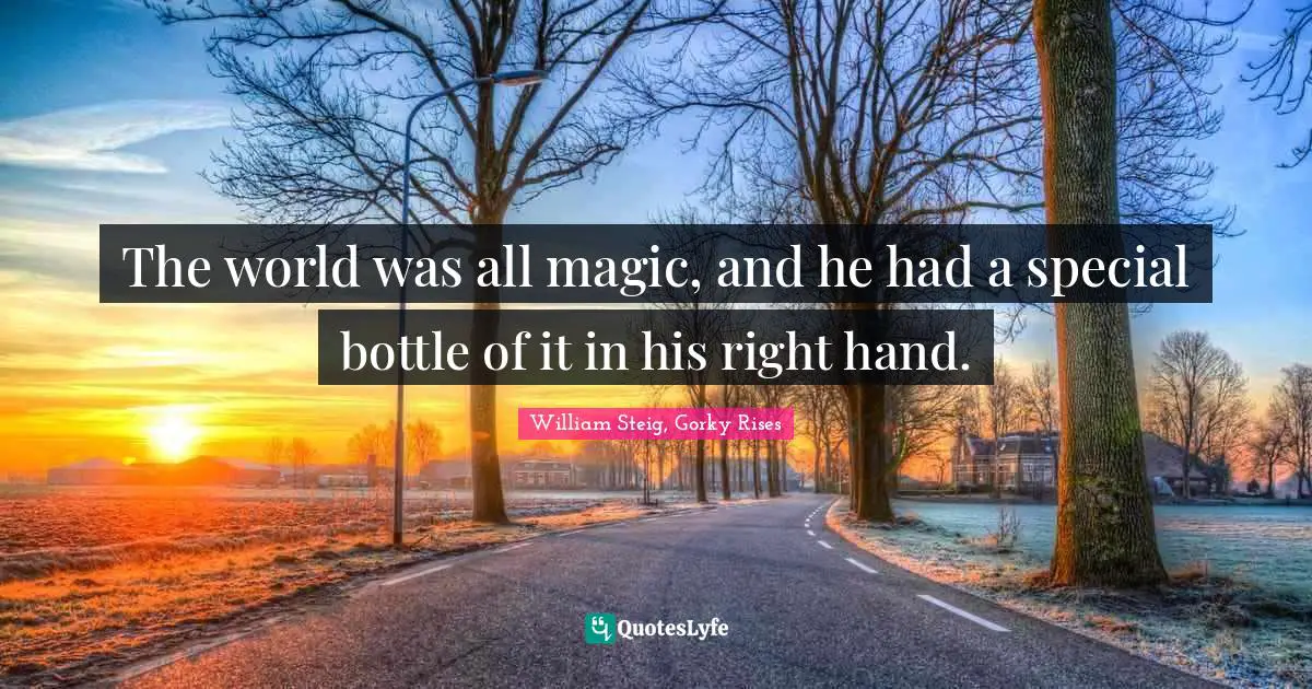 William Steig Quotes: "The world was all magic, and he had a special bottle of it in his right hand."