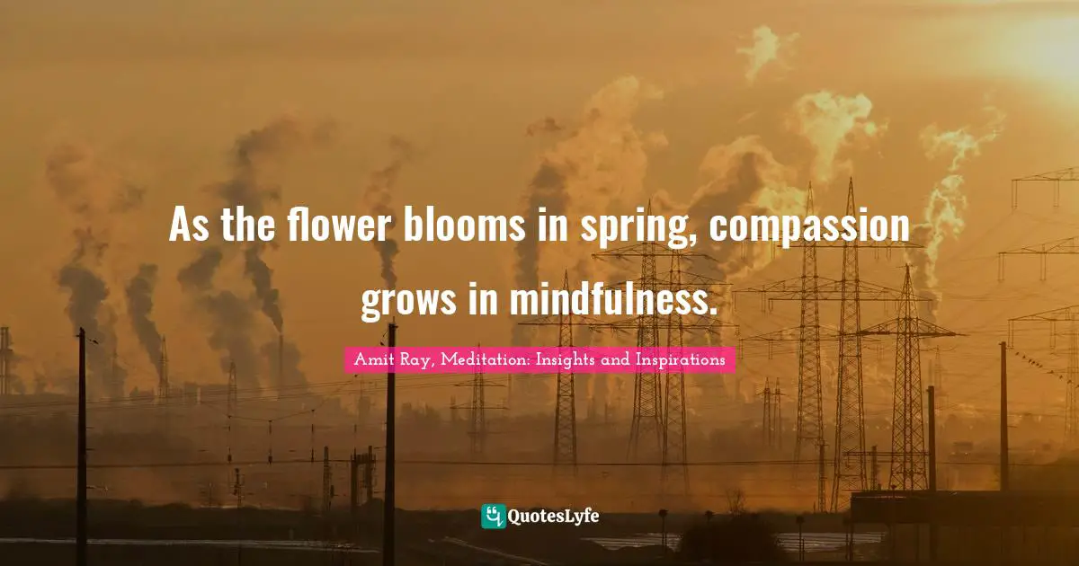 Amit Ray, Meditation: Insights and Inspirations Quotes: As the flower blooms in spring, compassion grows in mindfulness.