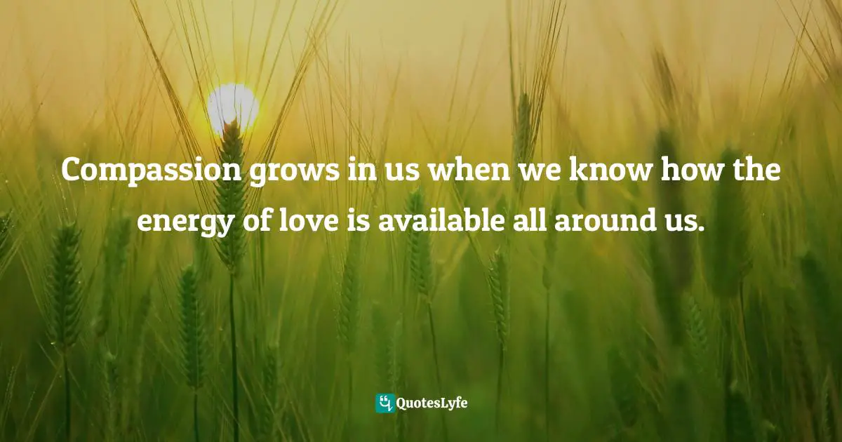 Compassion grows in us when we know how the energy of love is available all around us.