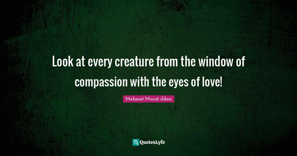 Look at every creature from the window of compassion with the eyes of love!
